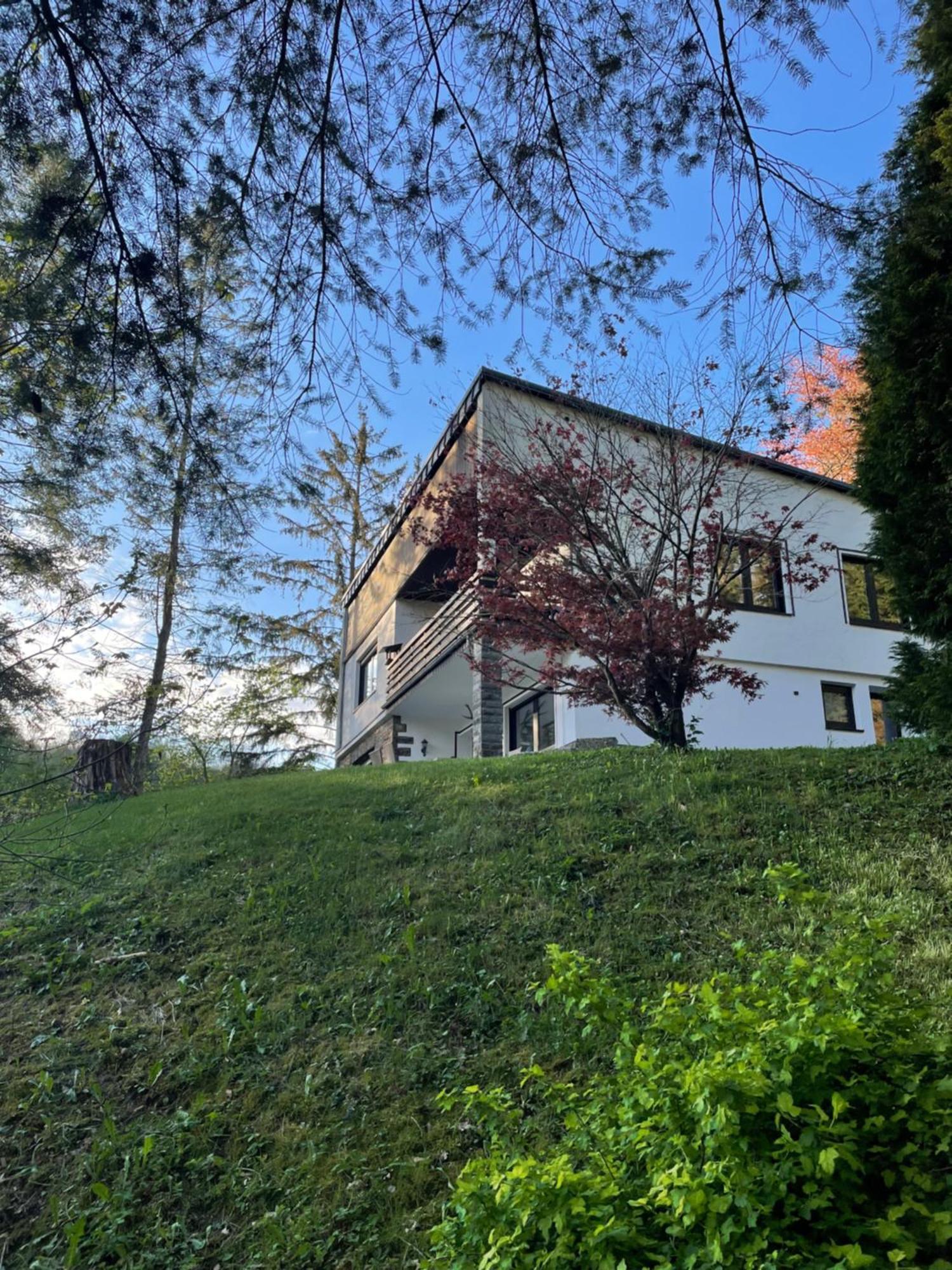 Talblick Chalet Blankenheim Blankenheim  Eksteriør billede